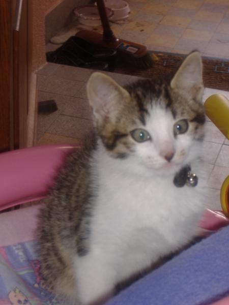 mimi